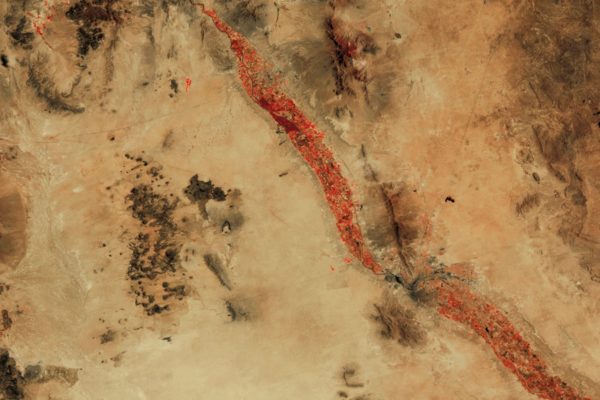 Postcolonialist and Ecofeminist Perspectives on Human-Environment Relations